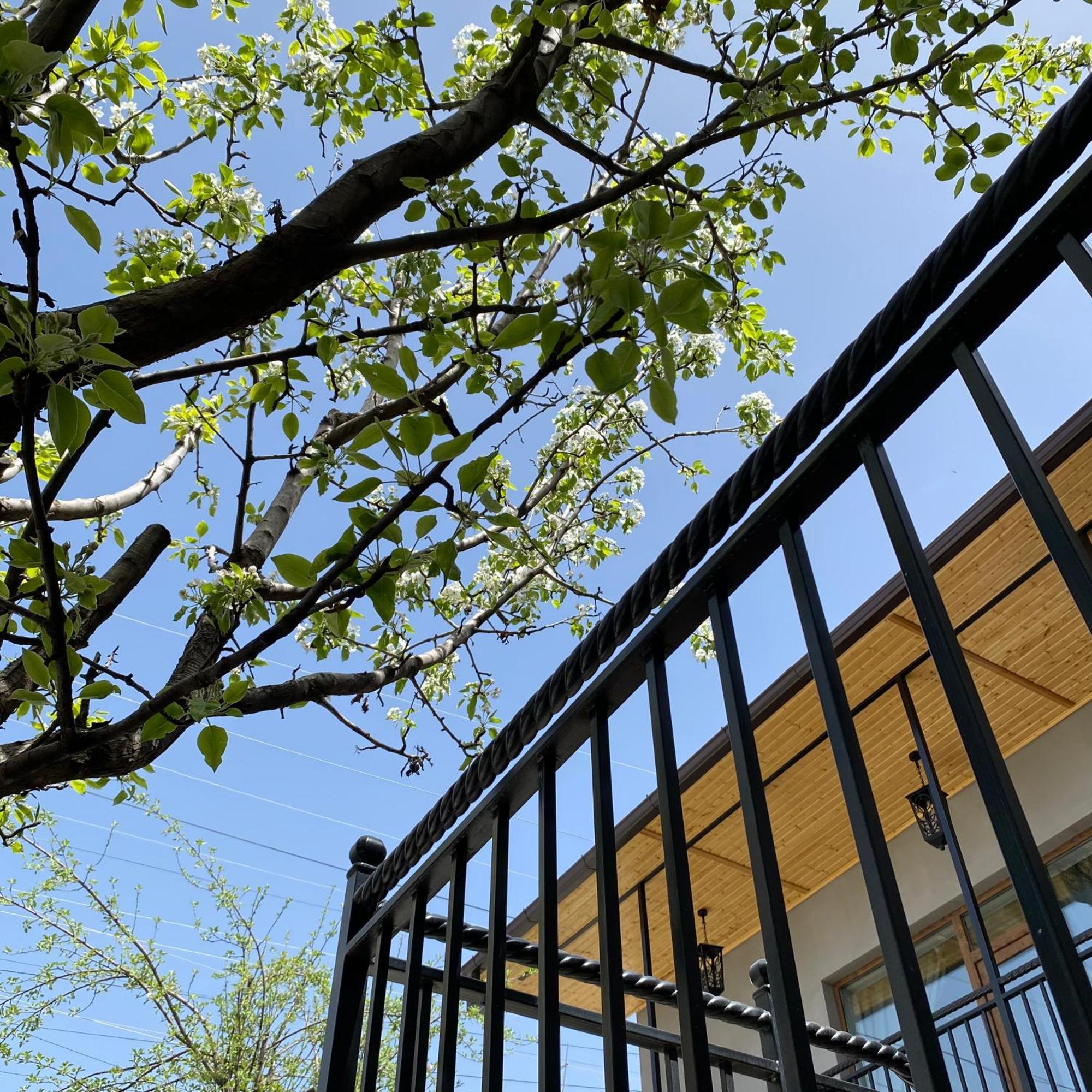 Nur Guest House Gyumri Bagian luar foto